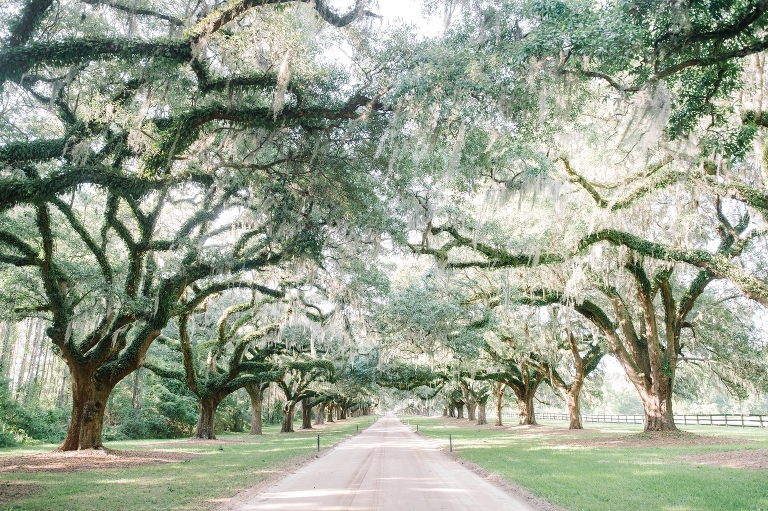 Liz and Josh Tew's Boone Hall Wedding by Charleston wedding photographer Aaron and Jillian Photography_0027