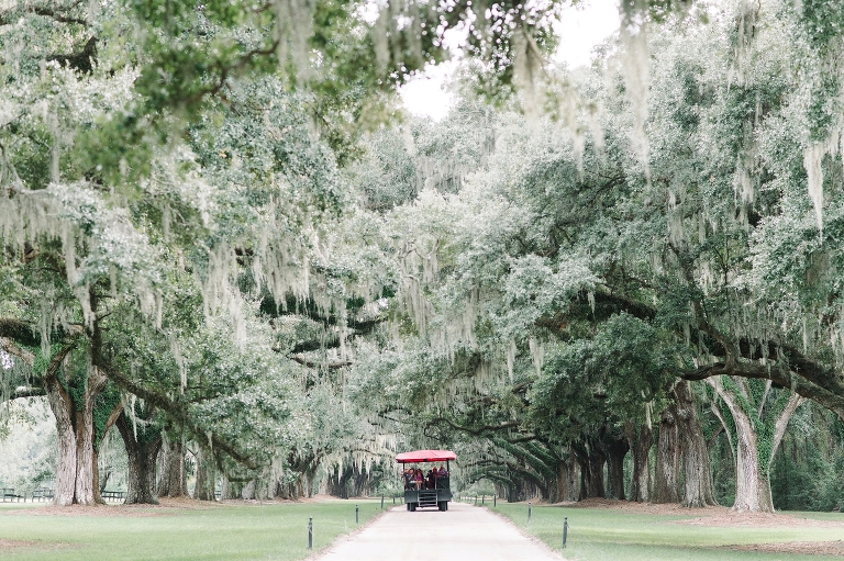 thomas-and-callas-boone-hall-plantation-wedding-by-charleston-wedding-photographers-aaron-and-jillian-photography-_0021